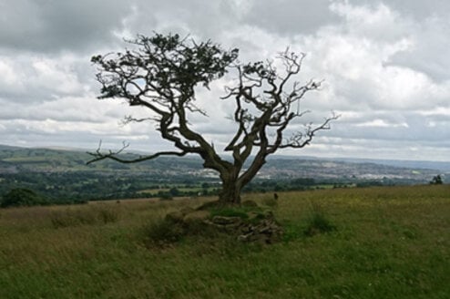 UK Field Schools Thumbnail